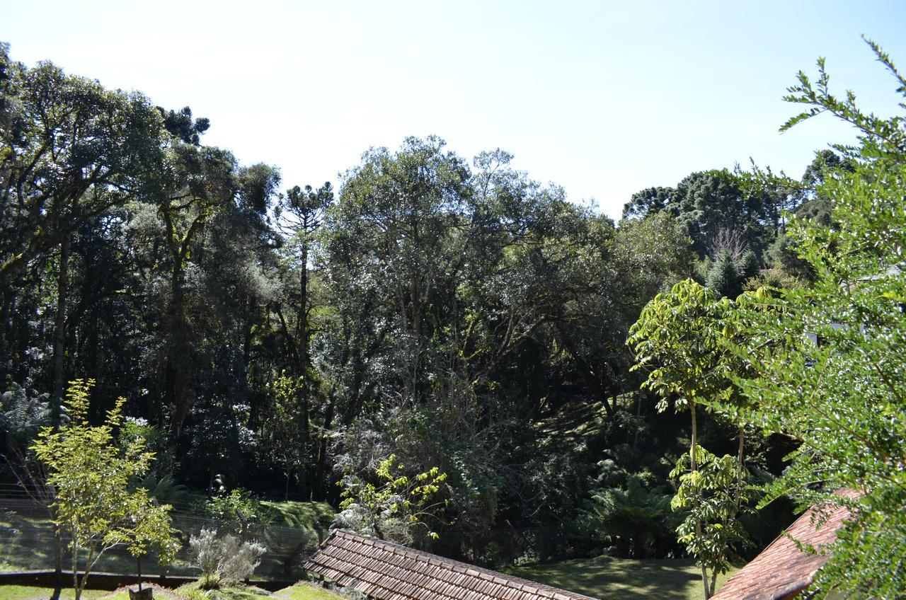 Chales Dona Zenta Monte Verde  Exterior foto